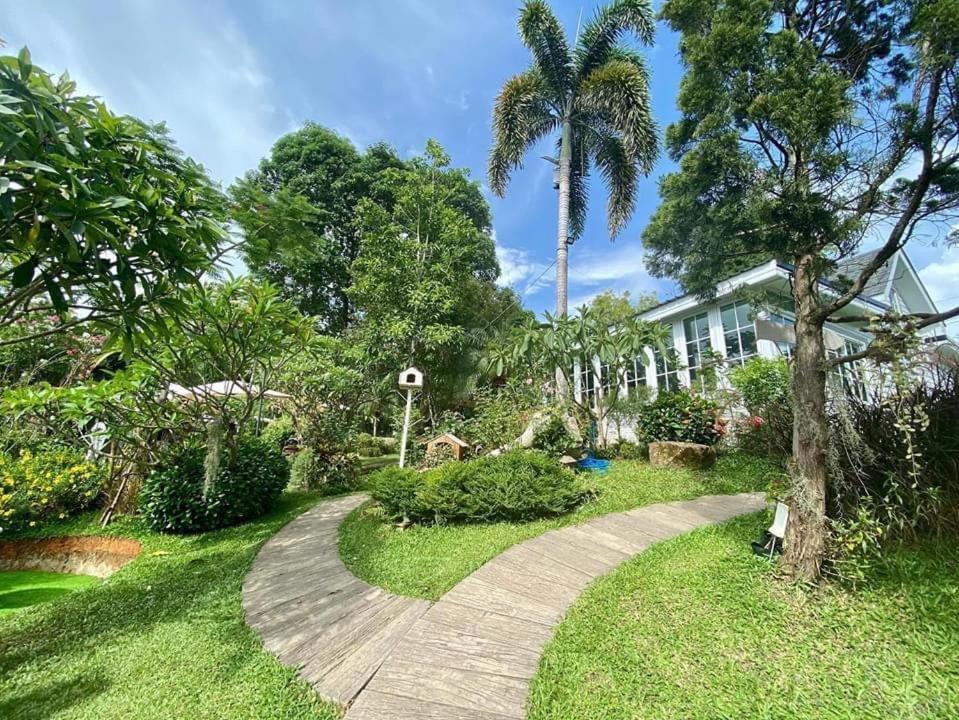 Baan Jaokorkluay บ้านเจ้ากอกล้วย Chiang Rai Exterior foto
